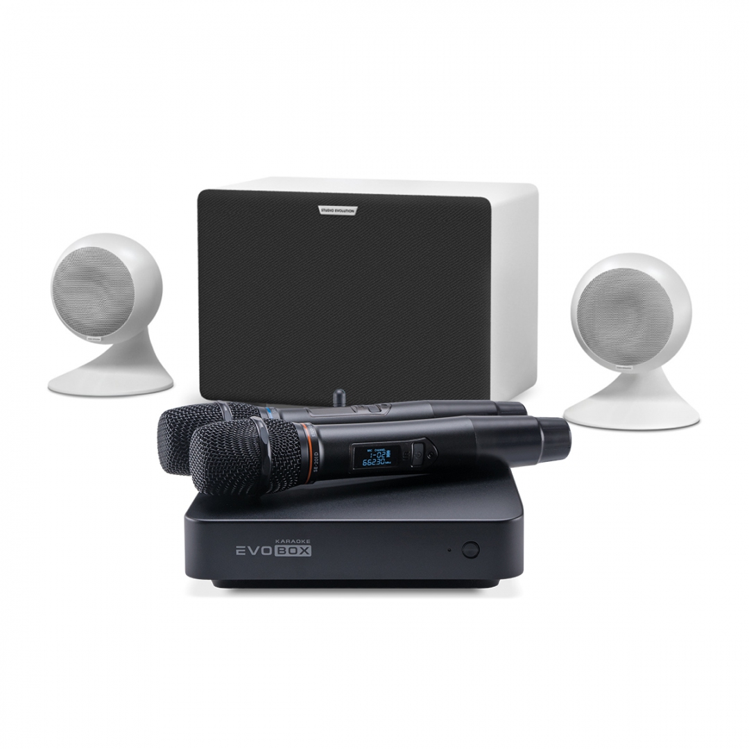 караоке-комплект EVOBOX Classic + EvoSound Sphere 2.1 в Нижегородской области