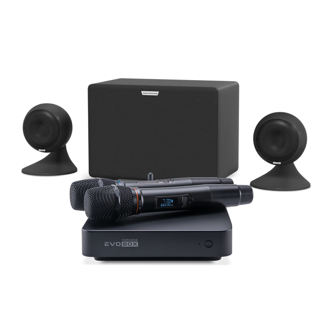 караоке-комплект EVOBOX Plus + EvoSound Sphere 2.1 в Нижегородской области